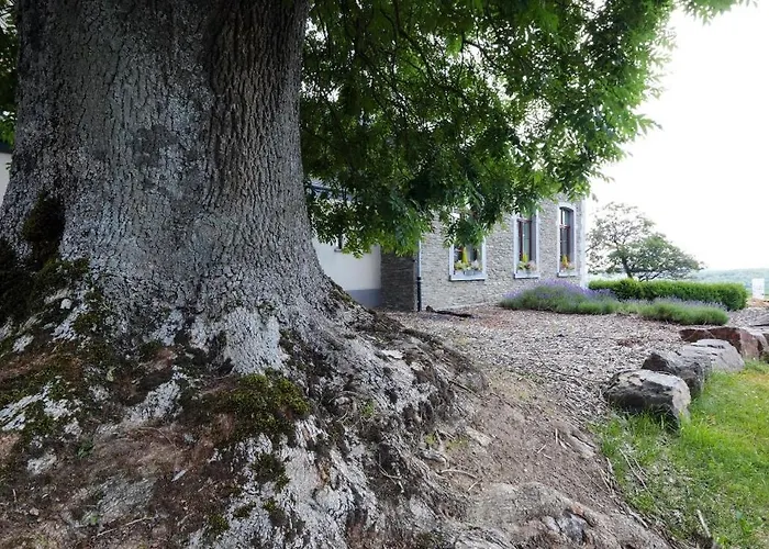 Semesterbostad 2 Huizen Voor 60 Personen - Hubermont