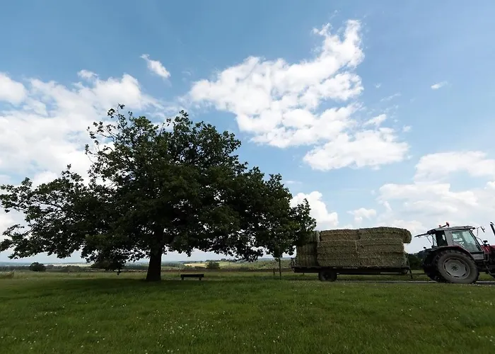 2 Huizen Voor 60 Personen - Hubermont La-Roche-en-Ardenne